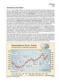 Wechselkurs Euro-Dollar (02/2010) USA/United States: Schaubilder, Diagramme, Tabellen und Illustrationen zu Wirtschaft und Politik