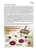 Abflle und ihre Entsorgung (08/2013)