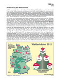 Beobachtung des Waldzustands (04/2013)