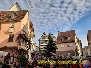 Weihnachtsmarkt in Bad Wimpfen