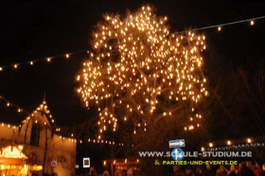 Weihnachtsmarkt in Deidesheim