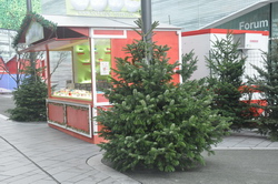 Weihnachtsmarkt Koblenz