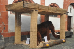 Koblenzer Weihnachtsmarkt