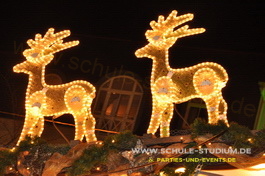 Weihnachtsmarkt in Landau