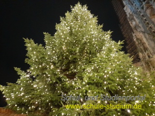 Ulmer Weihnachtsmarkt 2025